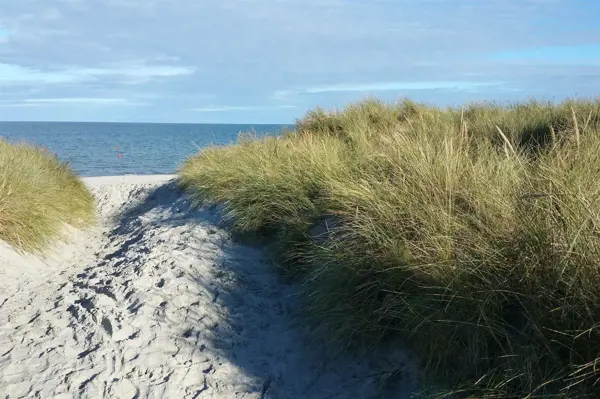 Bild 56 von 62