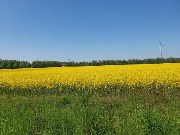Bild 34 von 41