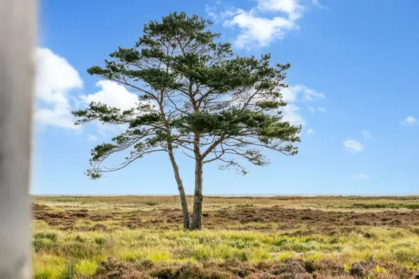 Ferienhaus 44-0590 in Lyngstien 2, Hou | Bild 24 von 28