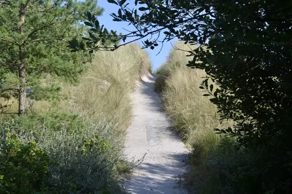 Bild 31 von 33
