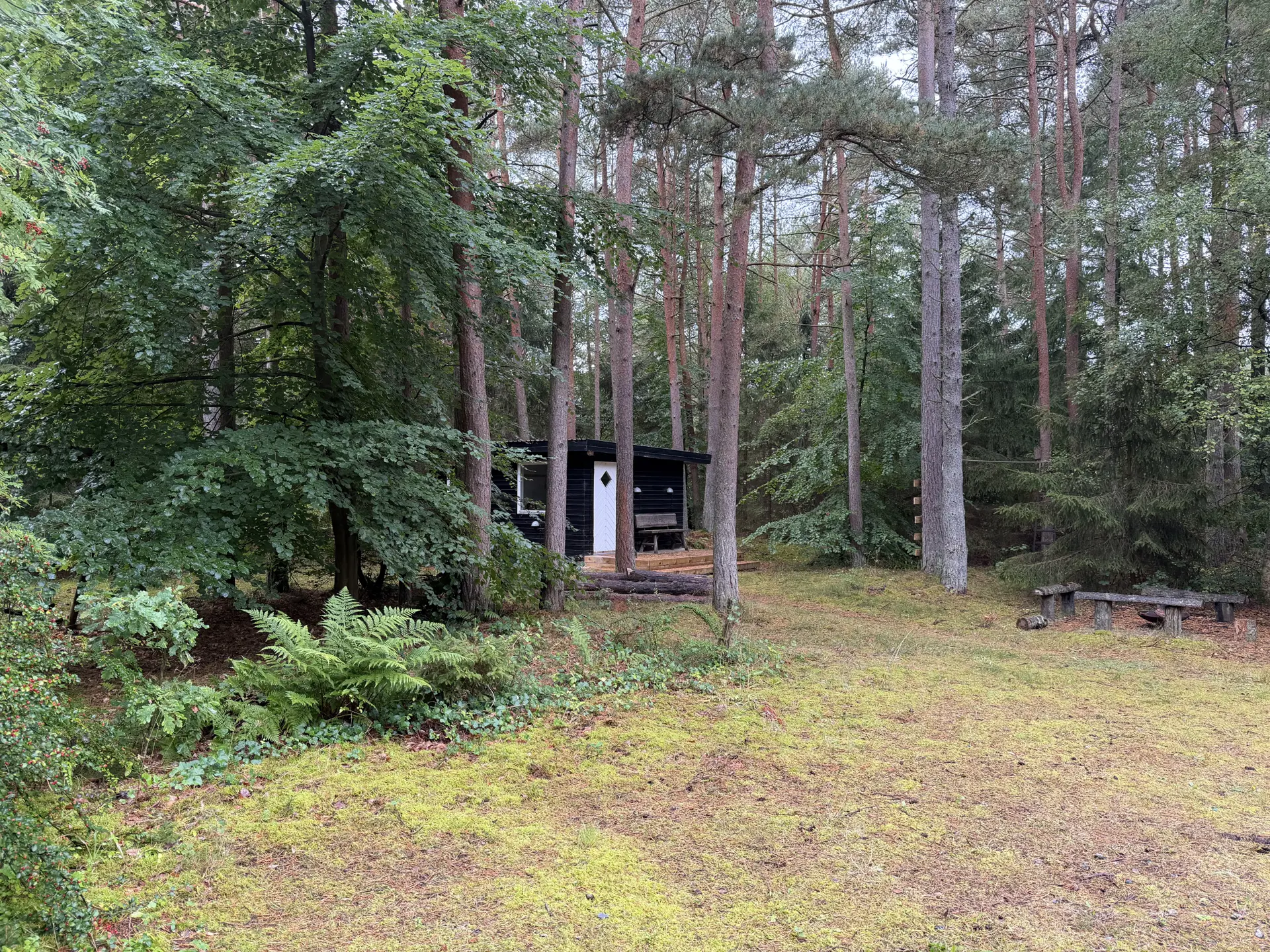 Ferienhaus 45-4146 in Odde Naturpark 68, Helberskov | Bild 3 von 10