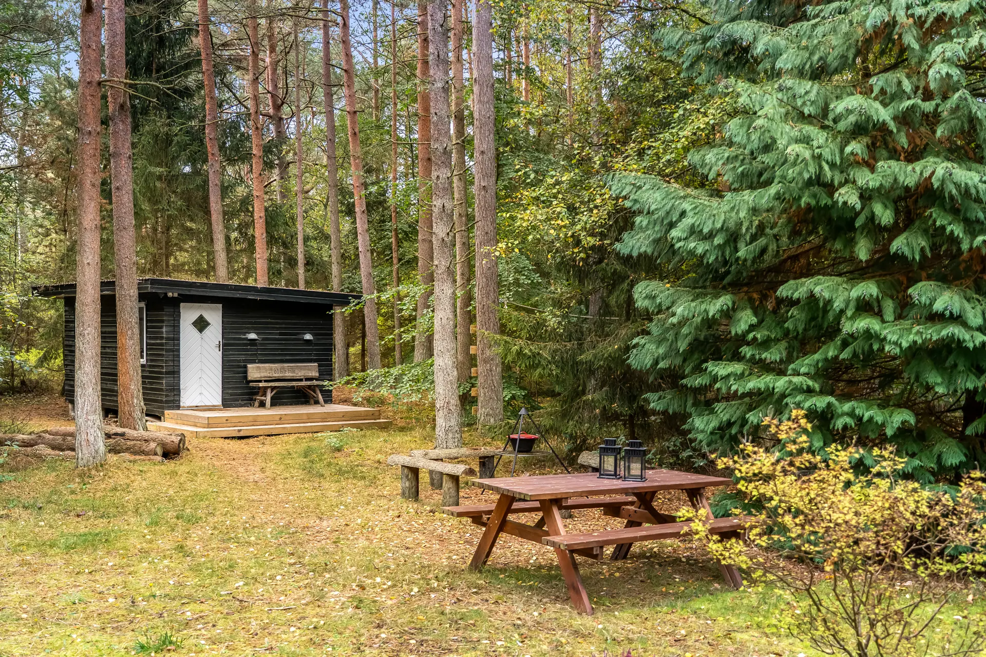Ferienhaus 45-4146 in Odde Naturpark 68, Helberskov | Bild 22 von 26