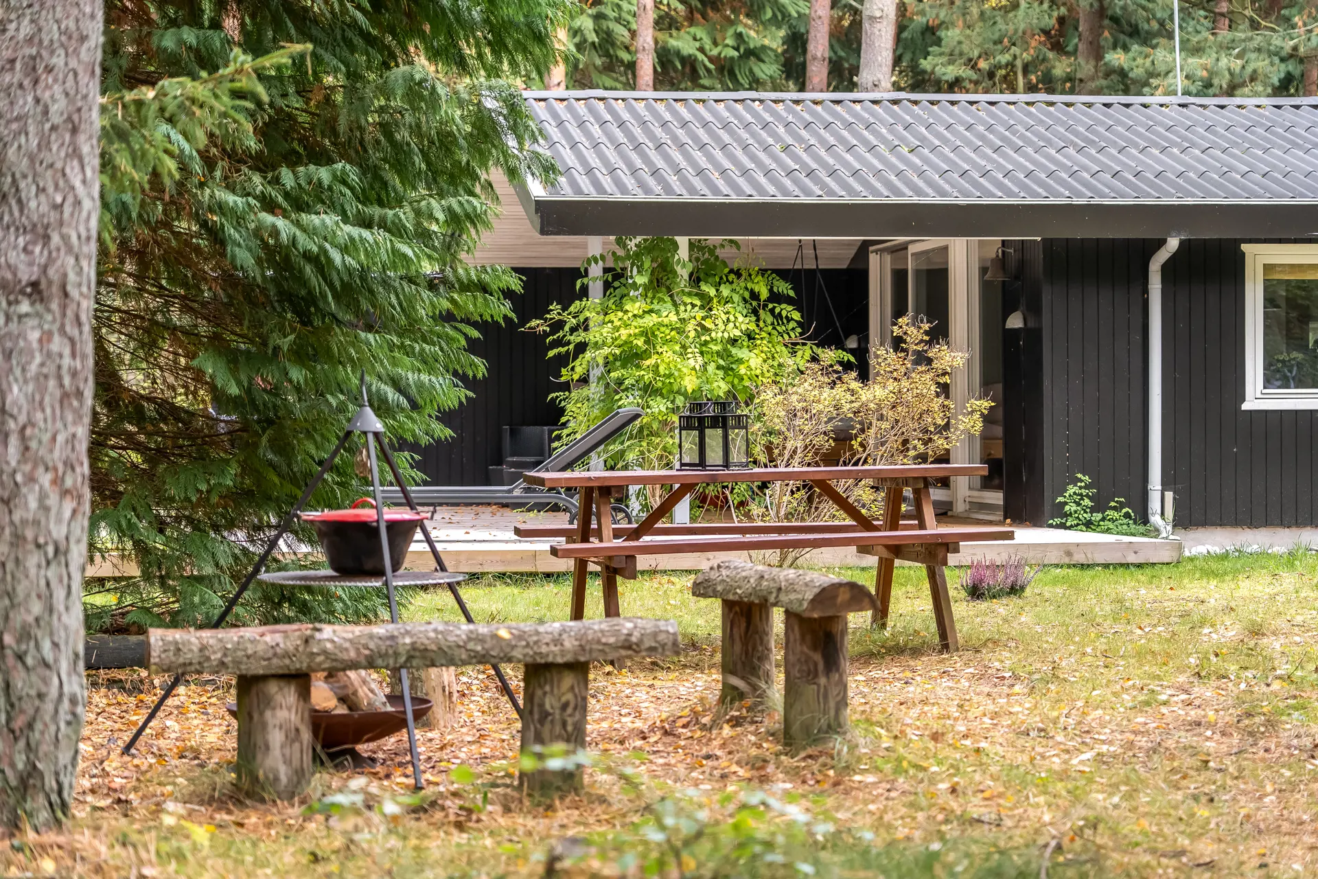 Ferienhaus 45-4146 in Odde Naturpark 68, Helberskov | Bild 23 von 26