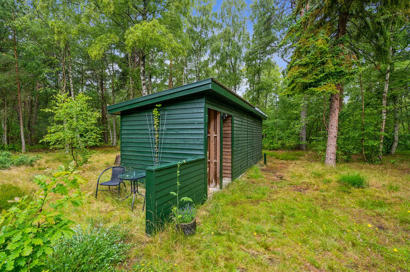 Bild 14 von 29