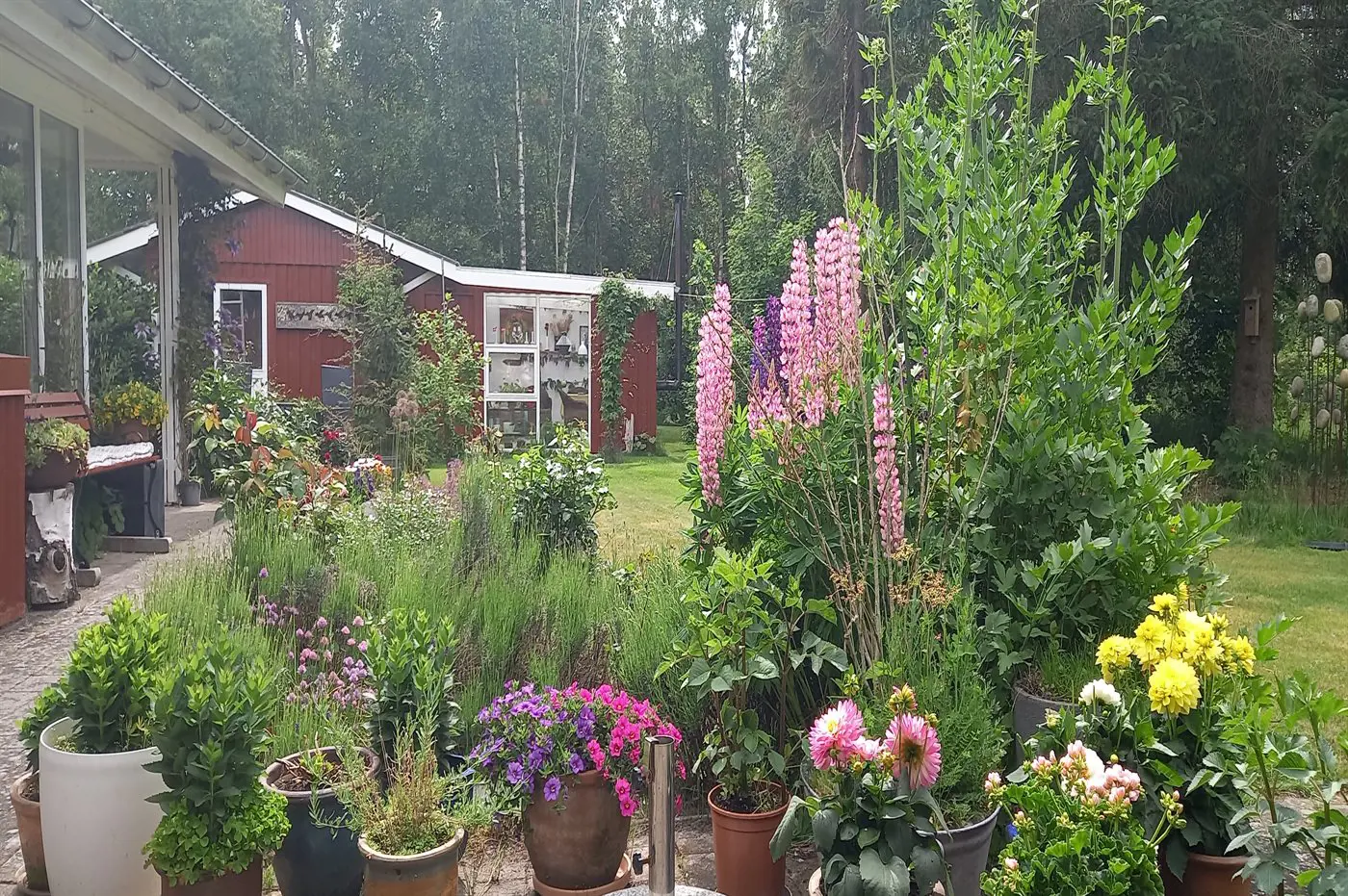 Bild 39 von 42
