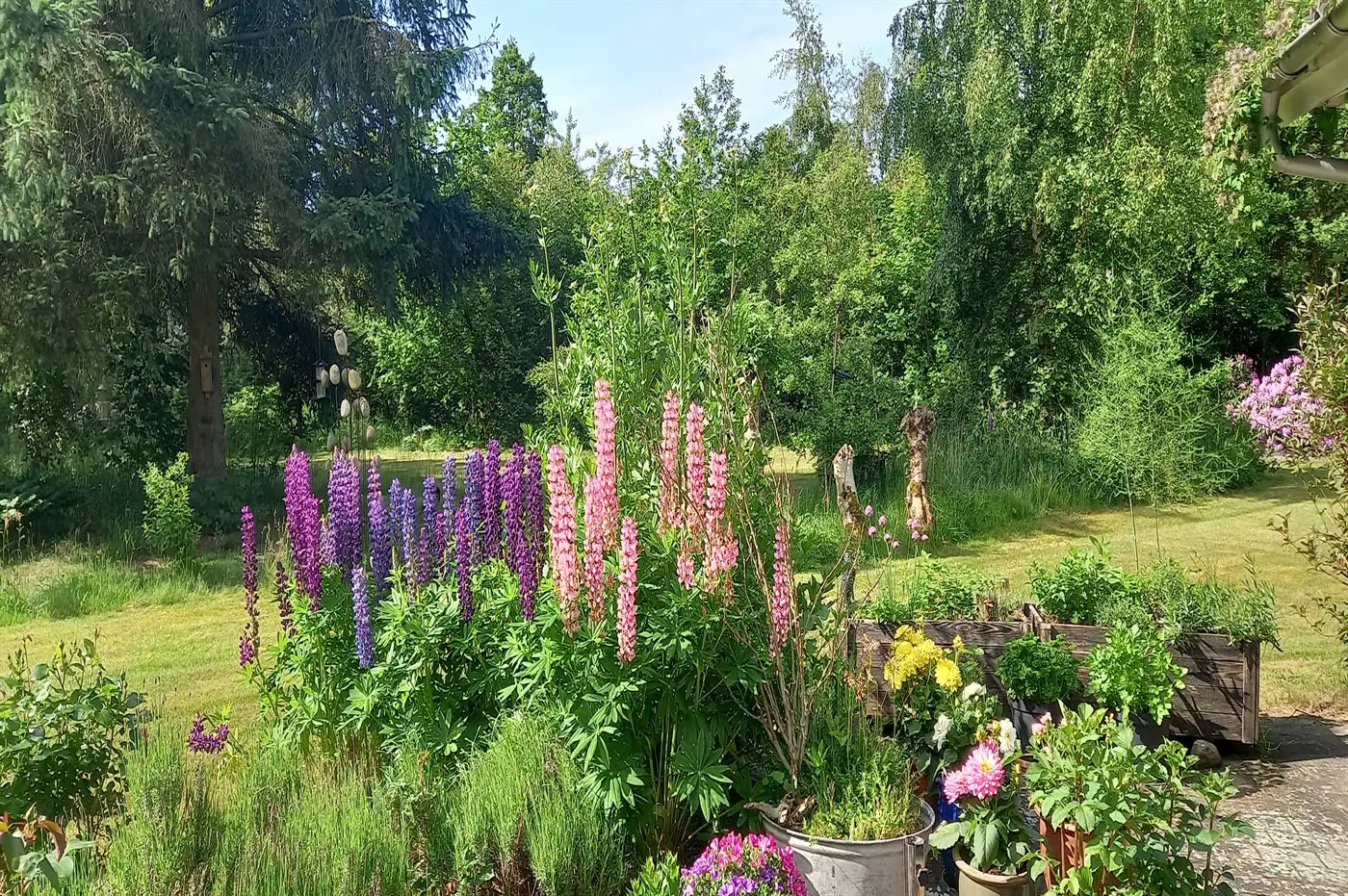 Bild 41 von 42