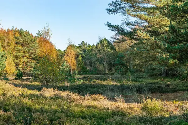 Bild 34 von 35