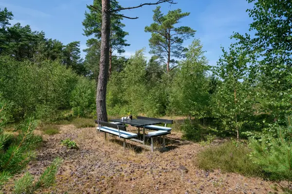 Bild 29 von 37