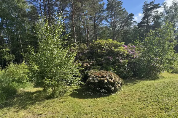 Bild 30 von 31