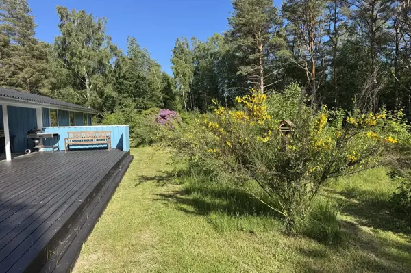 Bild 31 von 31