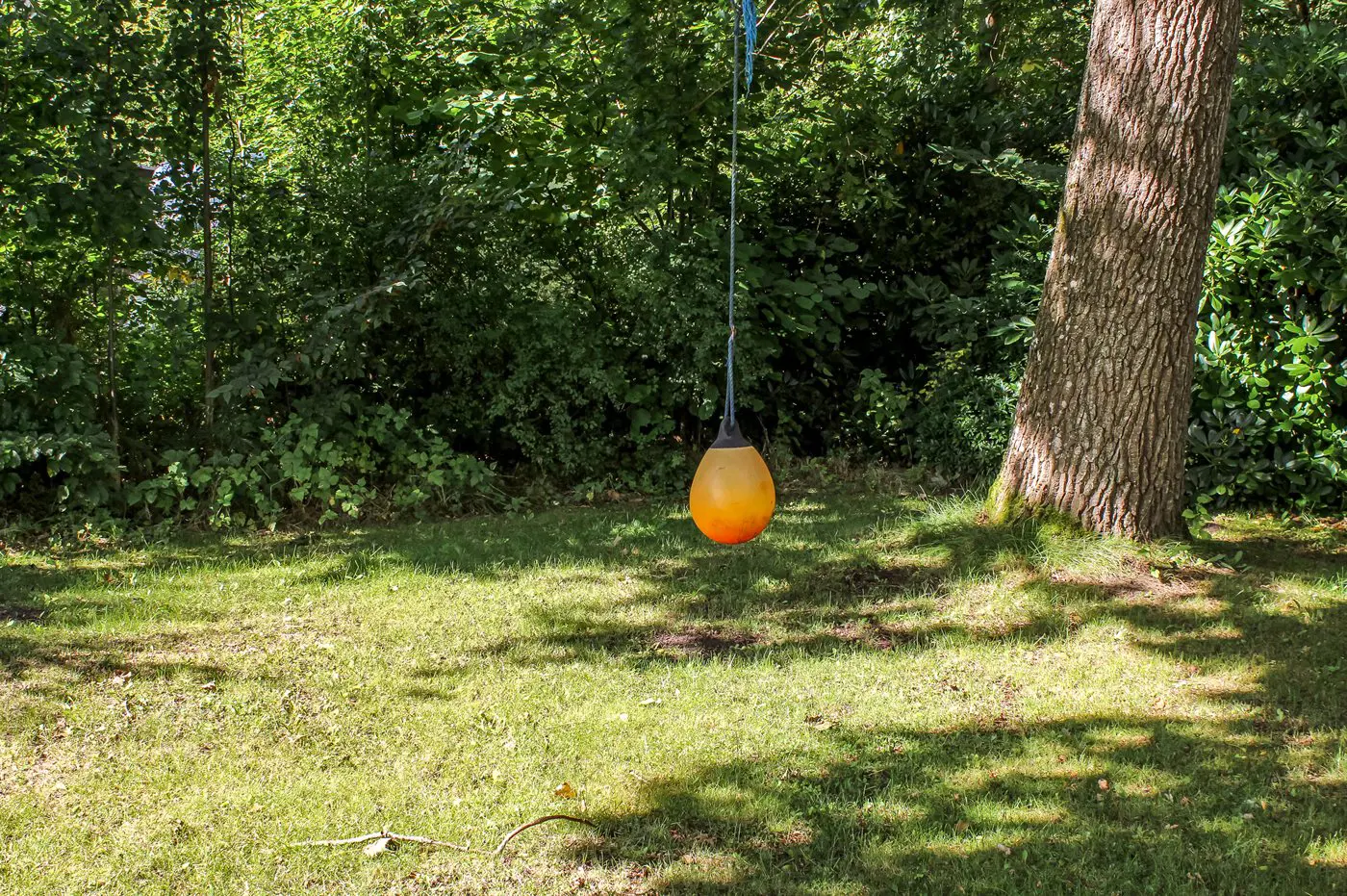 Bild 20 von 24