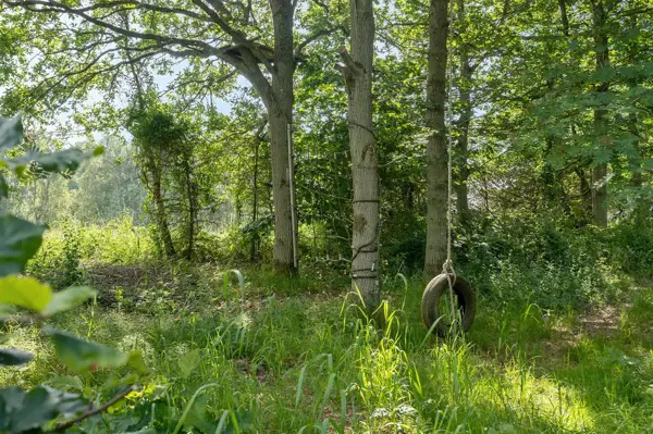 Bild 17 von 24