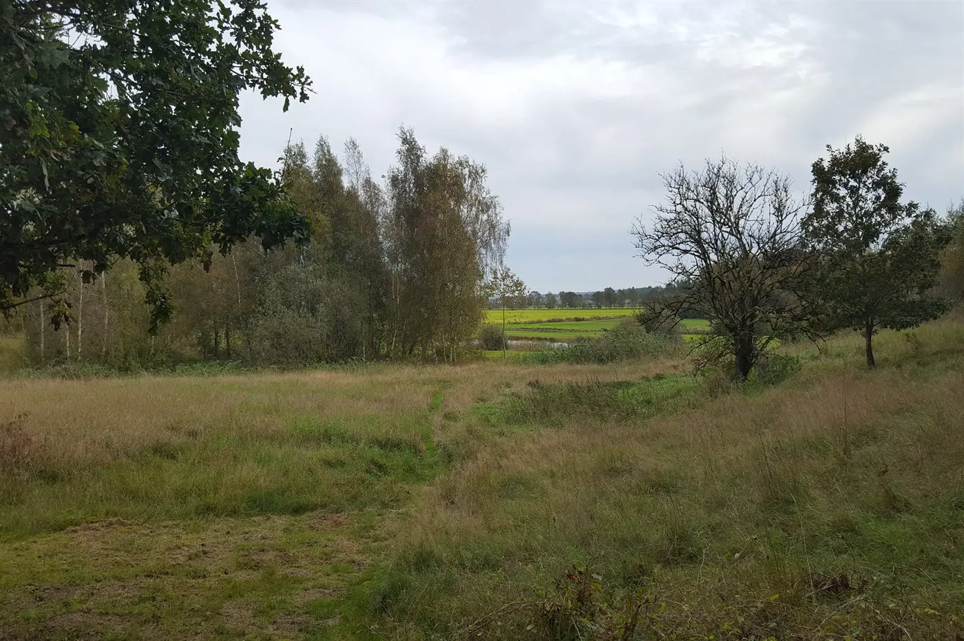 Bild 24 von 24