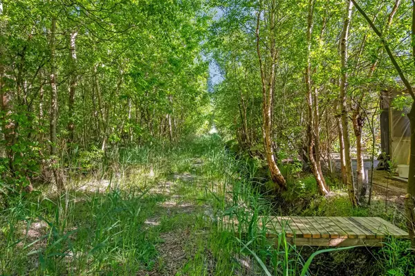 Bild 25 von 31