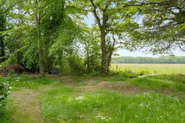 Bild 19 von 20