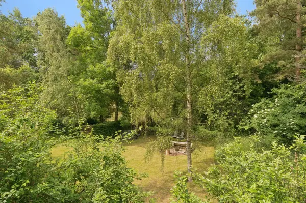 Bild 20 von 24