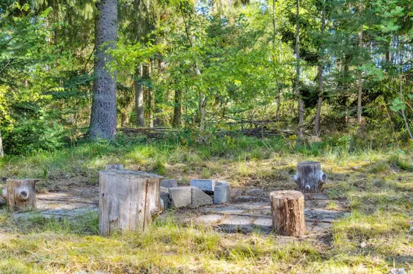 Bild 19 von 26