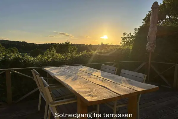 Bild 16 von 49