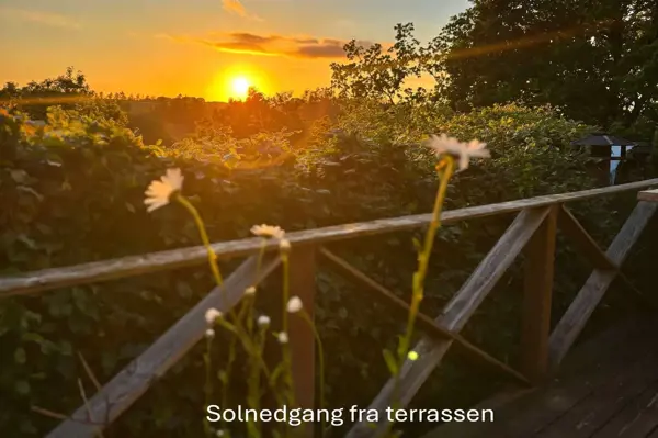 Bild 17 von 49