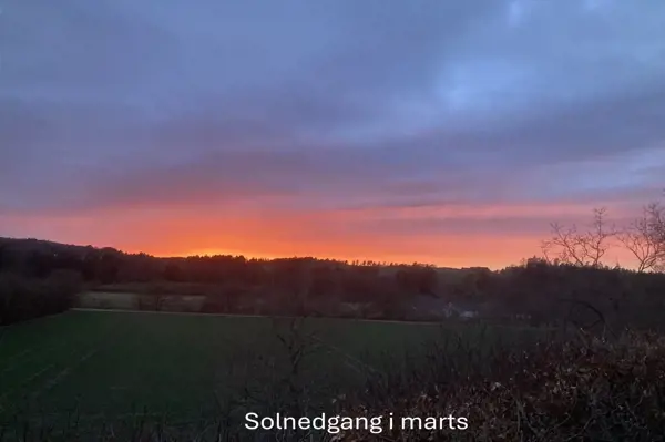 Bild 18 von 49