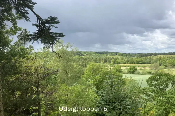 Bild 34 von 49