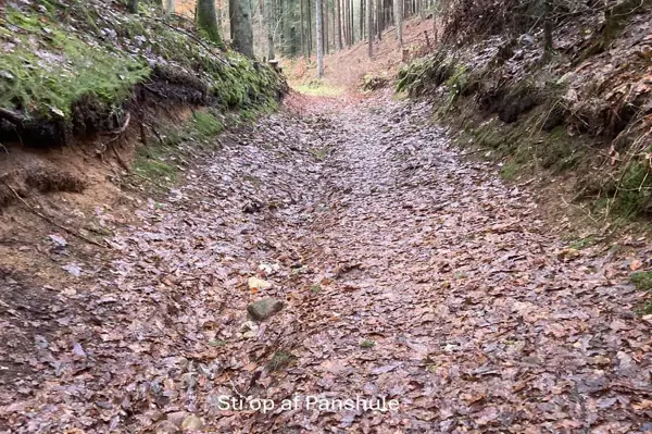 Bild 36 von 49