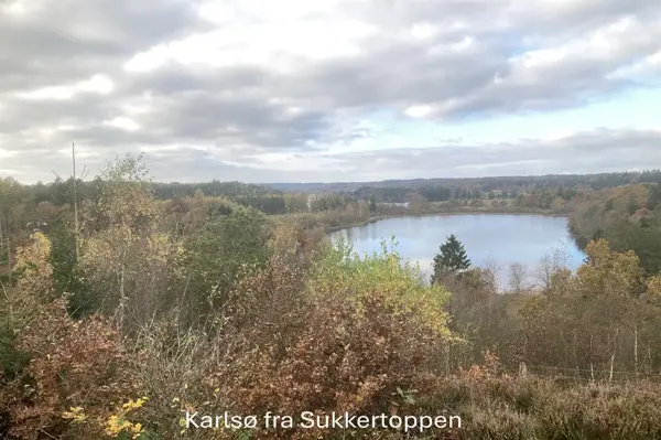 Bild 39 von 49
