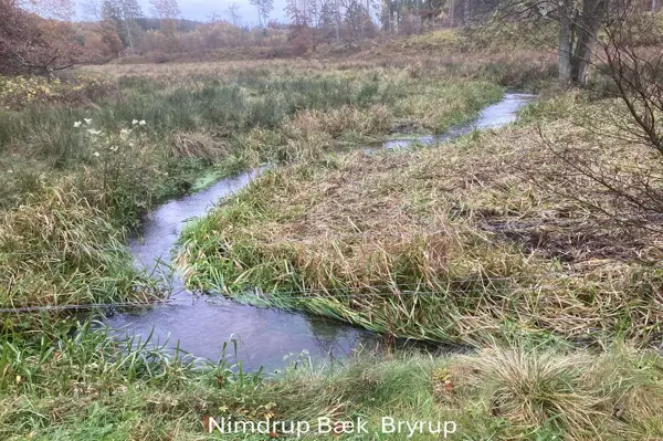 Bild 41 von 49