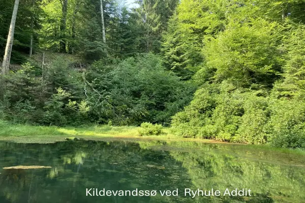 Bild 44 von 49