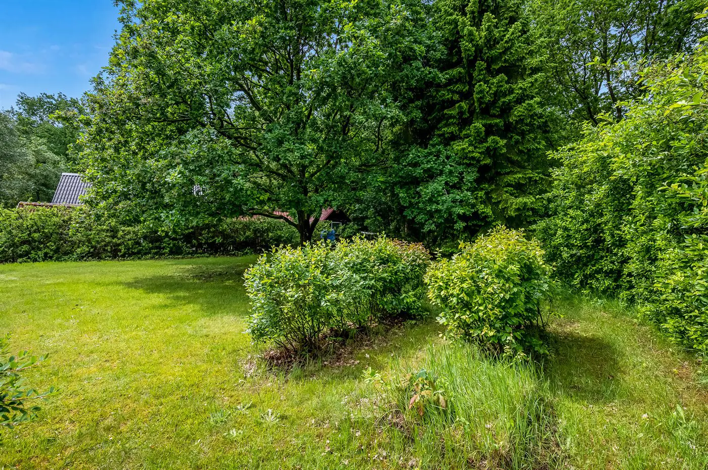 Bild 21 von 21