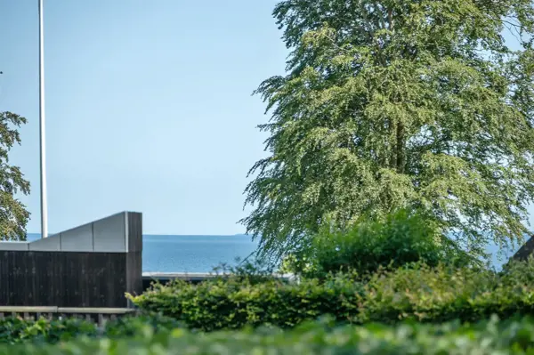 Bild 34 von 35