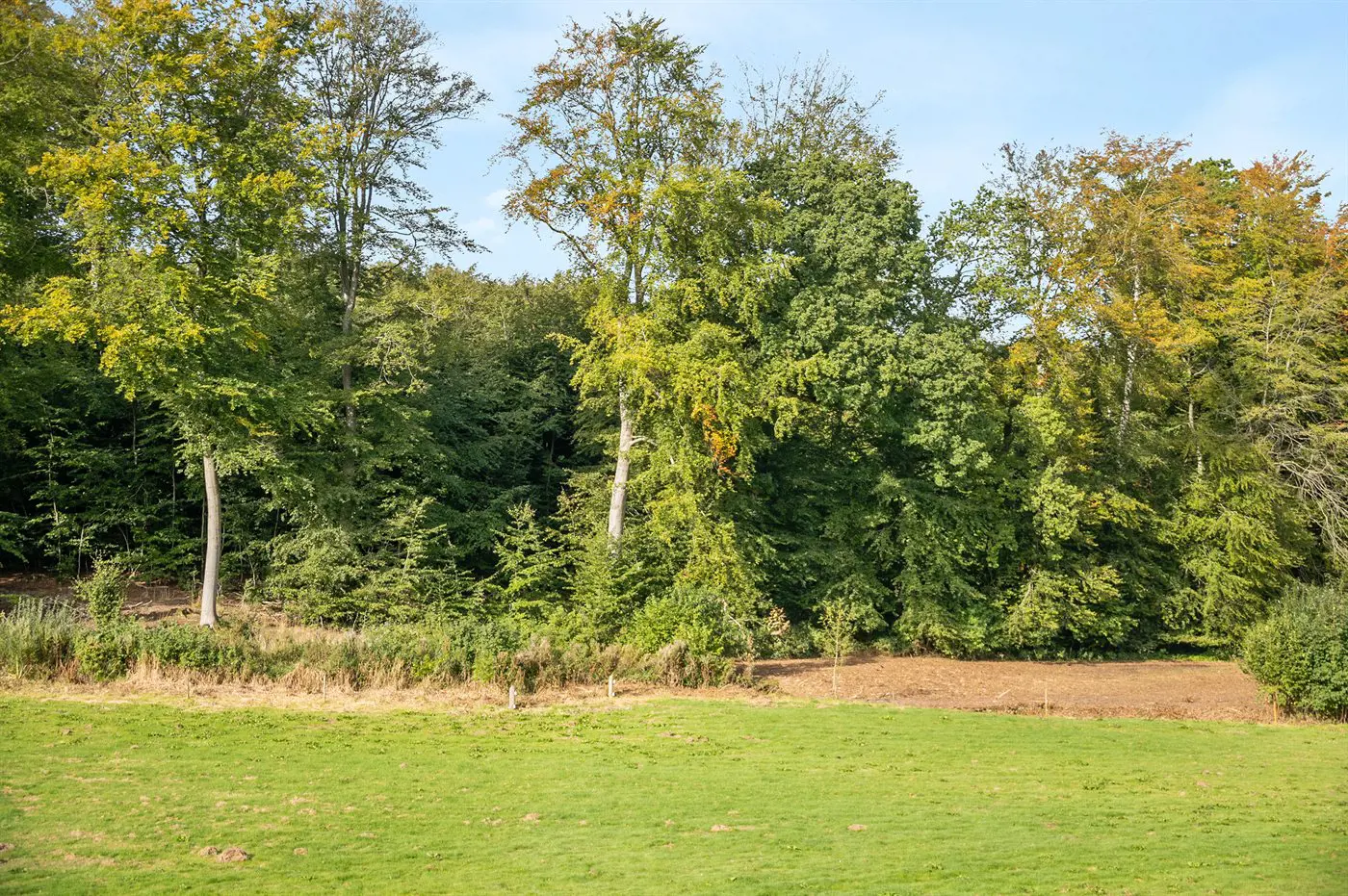 Bild 35 von 40