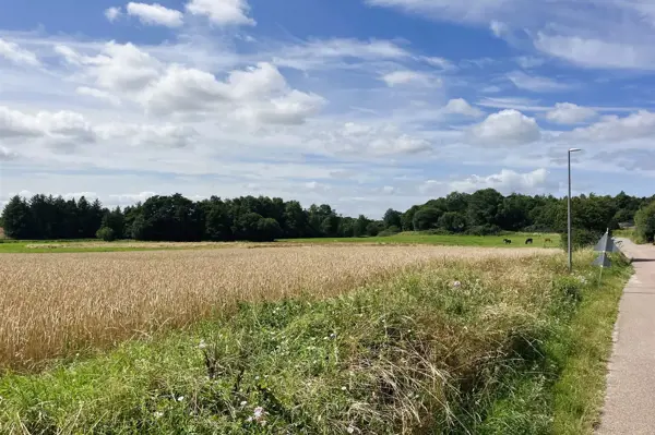 Bild 16 von 19