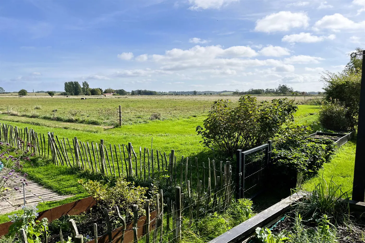 Bild 2 von 15