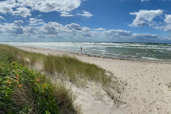 Bild 2 von 30