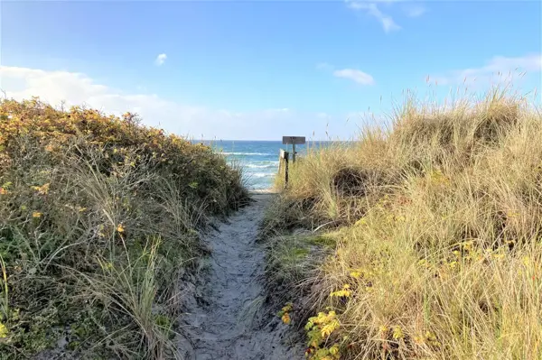 Bild 2 von 40