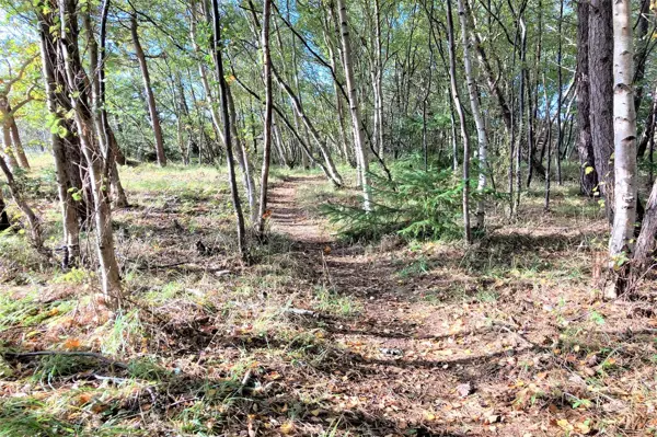 Bild 34 von 40