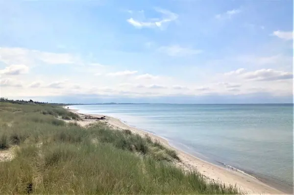 Bild 38 von 40
