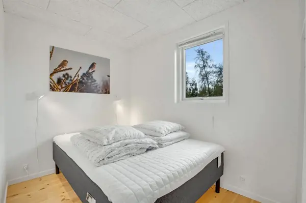 Bild 6 von 31