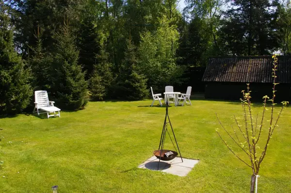 Bild 4 von 12