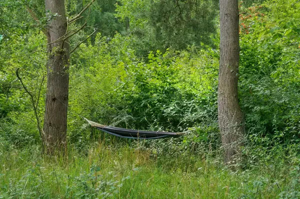 Bild 27 von 31