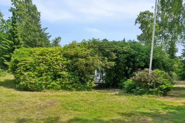 Bild 34 von 34