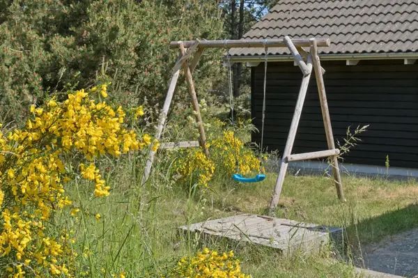 Bild 35 von 36