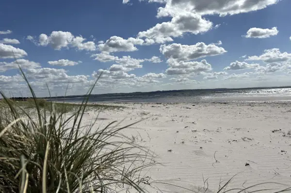 Bild 24 von 27