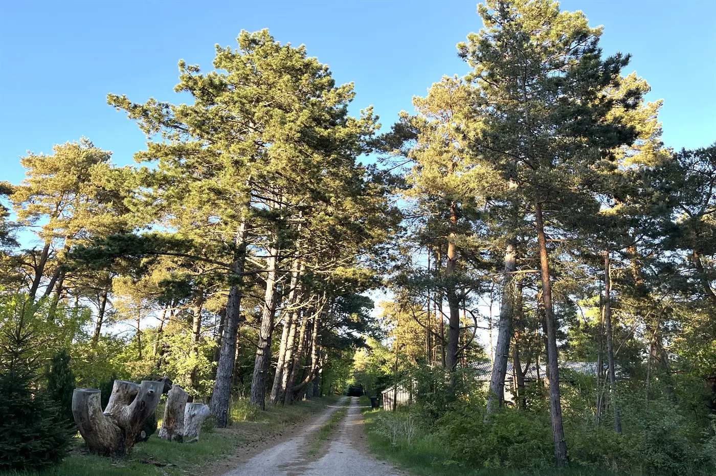 Bild 19 von 19