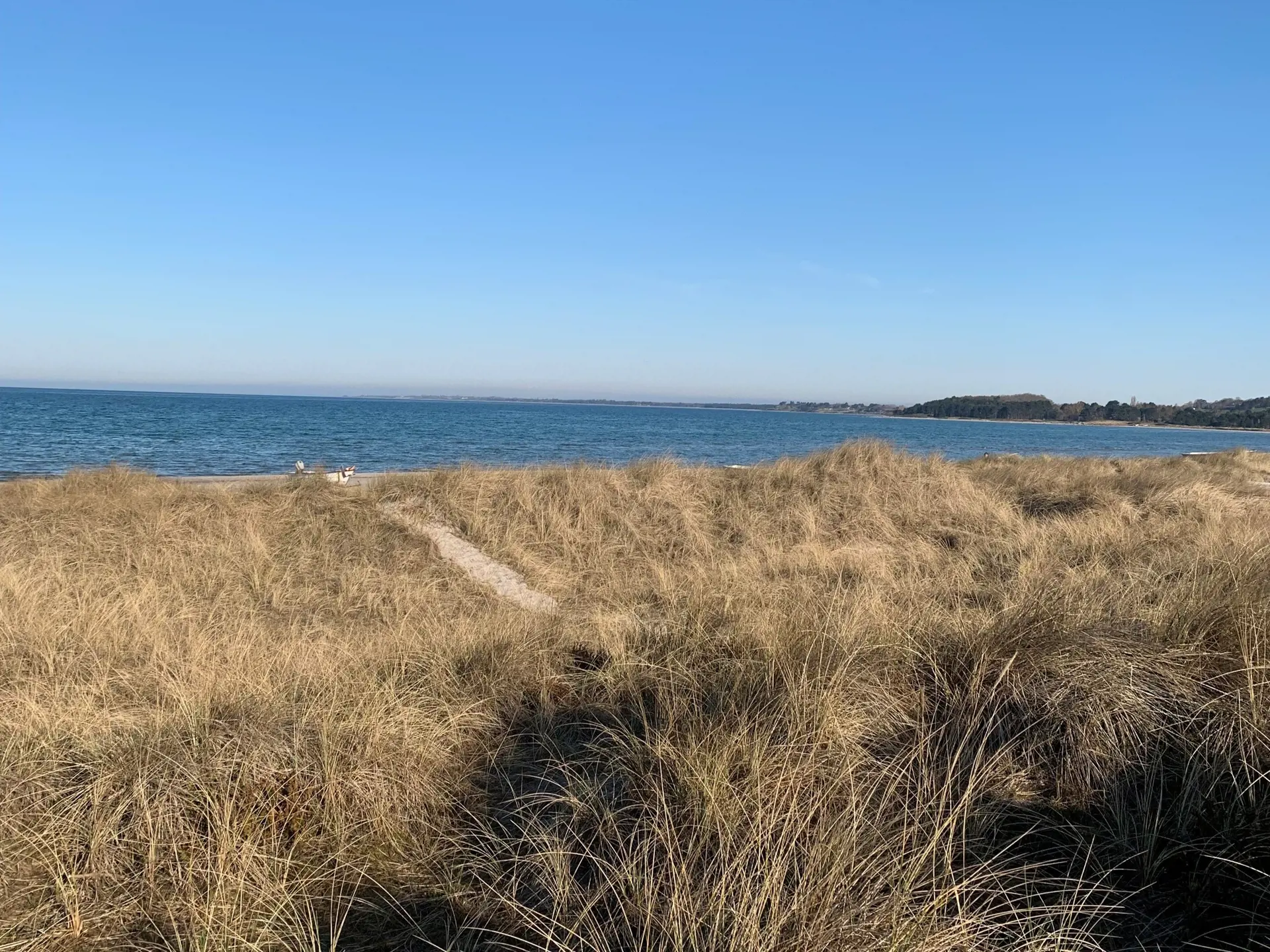 Ferienhaus 90-2578 in Lyngtoften 8, Sejerø Bucht | Bild 41 von 42