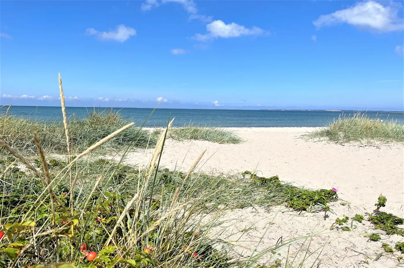 Bild 16 von 18
