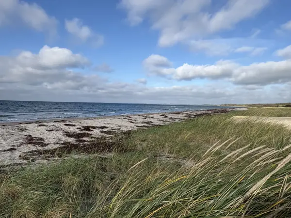 Ferienhaus 91-1053 in Ved Kanalen 2, Bjerge Strand | Bild 19 von 20