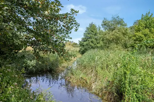 Bild 36 von 36