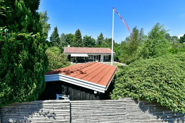 Bild 2 von 31
